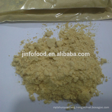 Factory Supply High Quality Ginger Extract Powder Ginger powder